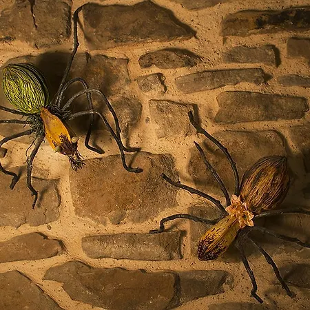 Hotel Rural Casa La Juana