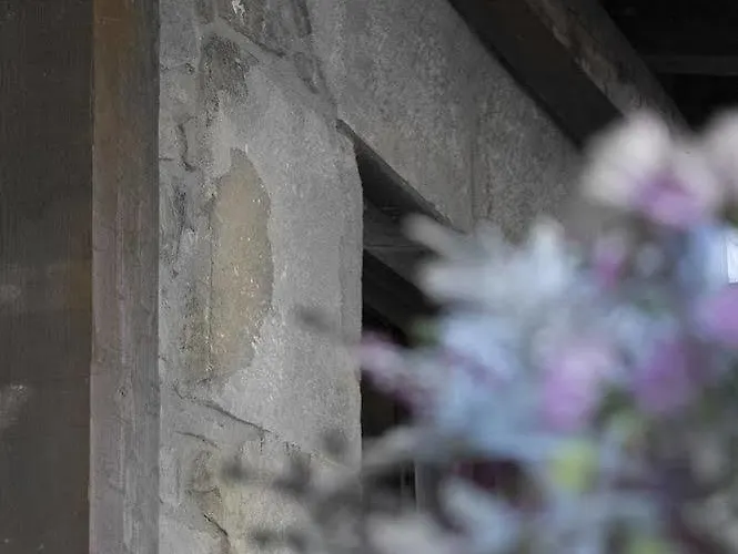 Rural Casa La Juana *